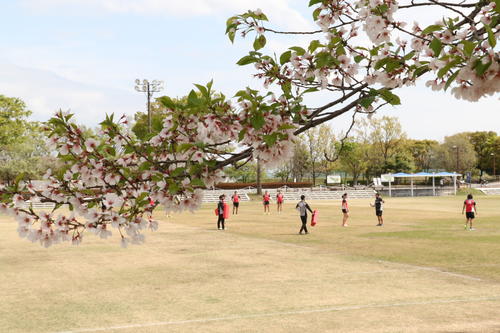 レポート：女子7人制強化合宿(熊谷)