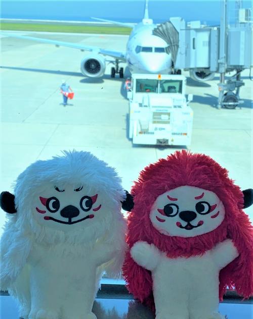 6月8日更新）男子日本代表別府合宿レポート