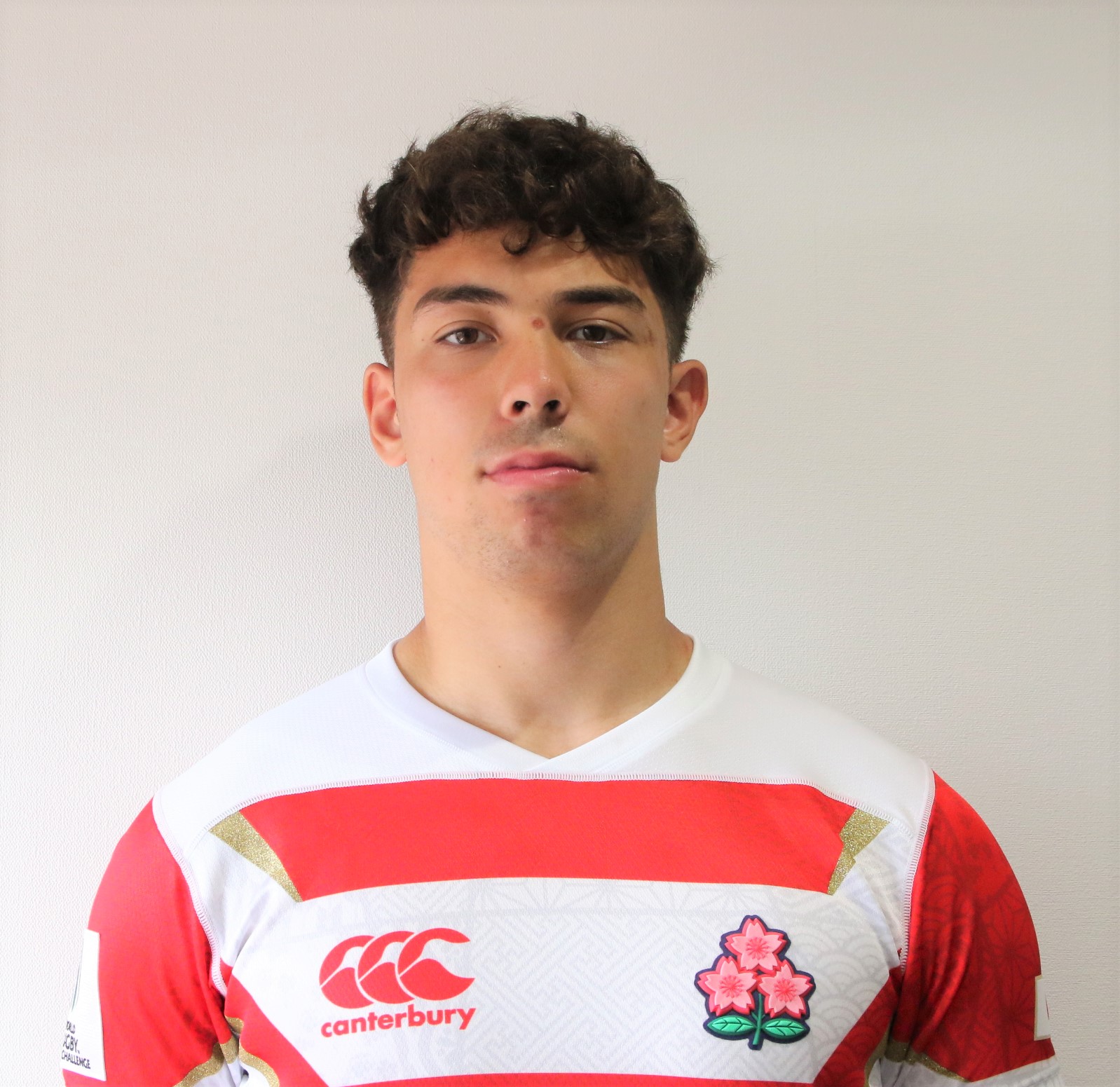 ハリーウィラード